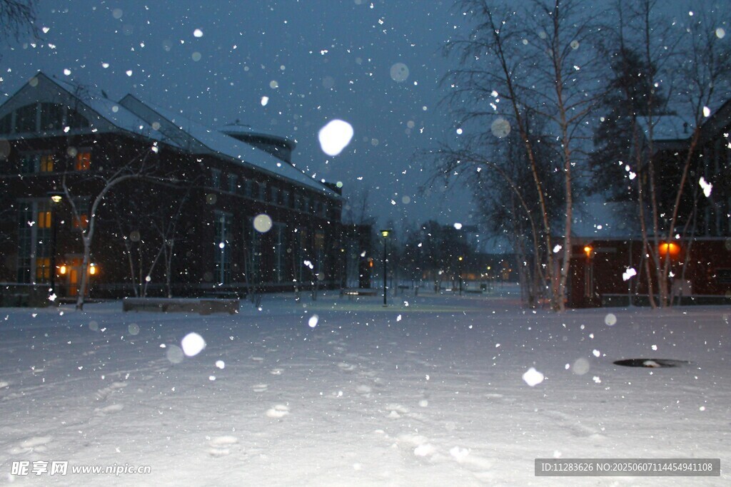 雪夜中的靜謐戶外景象
