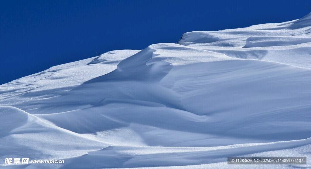 雪嶺風光