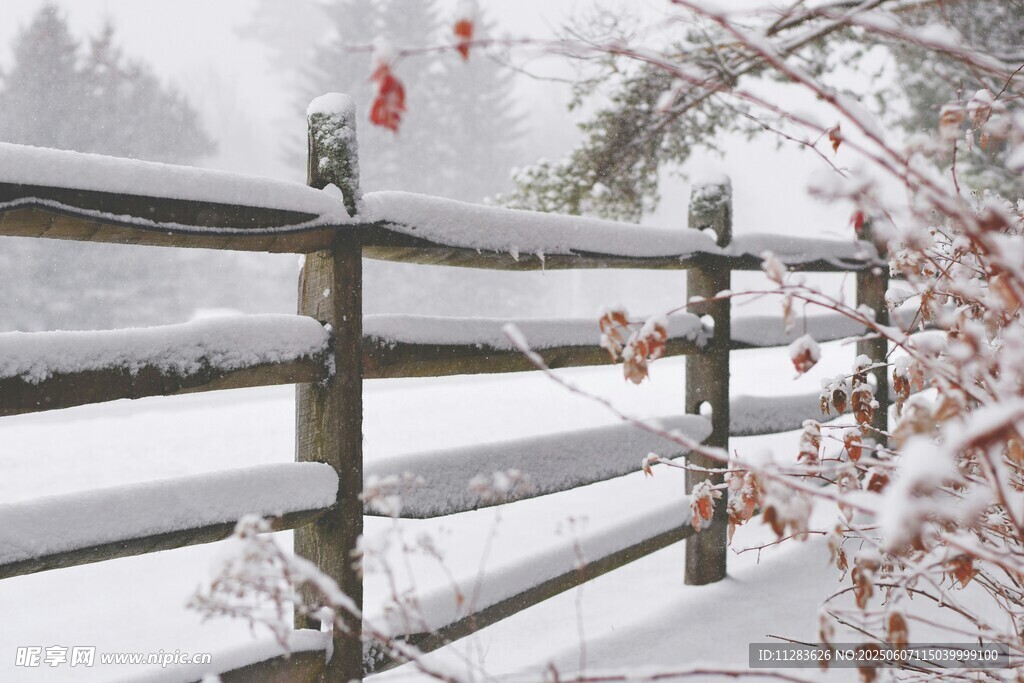 雪覆木柵欄 冬日景致