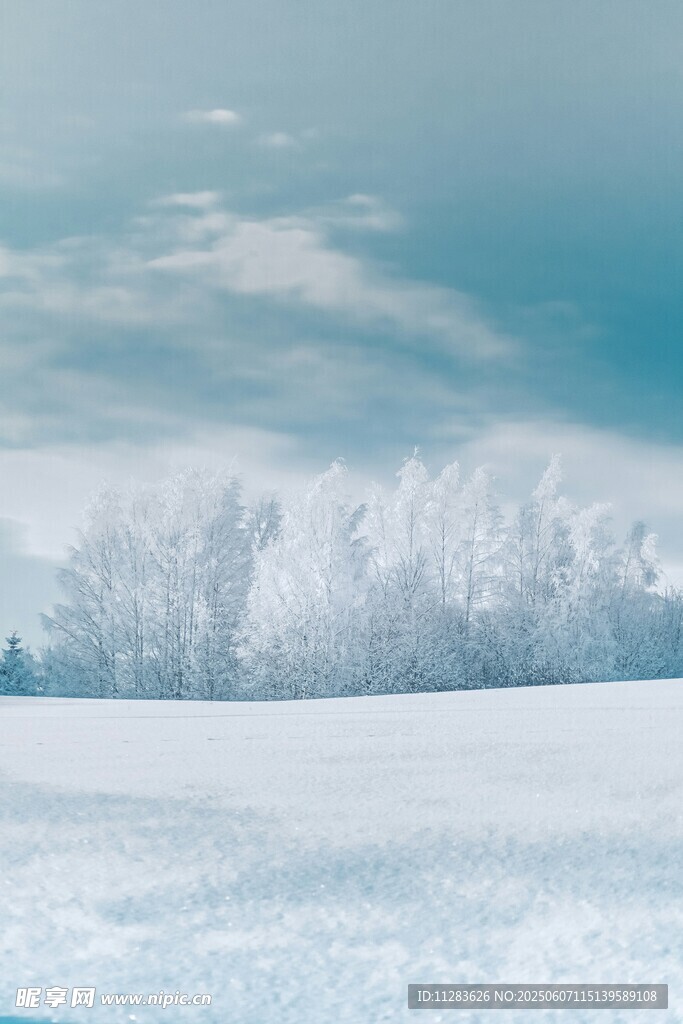 冬日雪景中的靜謐樹林