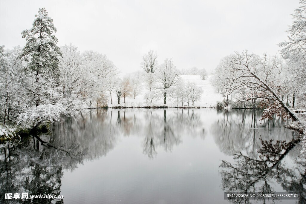 冬日雪覆湖畔靜謐美景