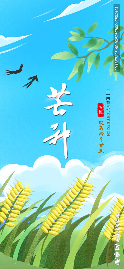 芒種時節(jié)的金黃麥田