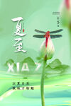 夏至海報