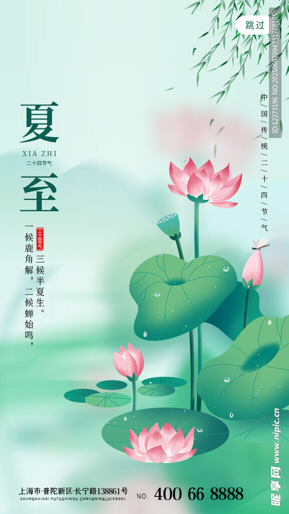 夏至荷花圖