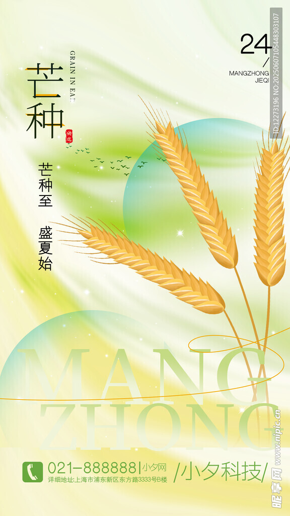 芒種時節麥穗插畫圖