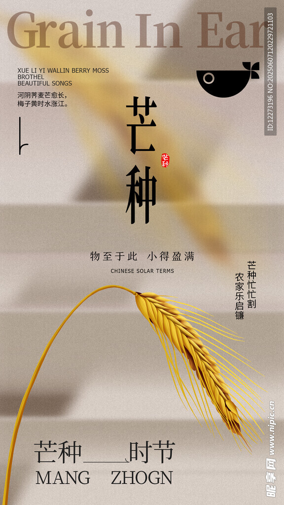 芒種時(shí)節(jié)麥穗金黃
