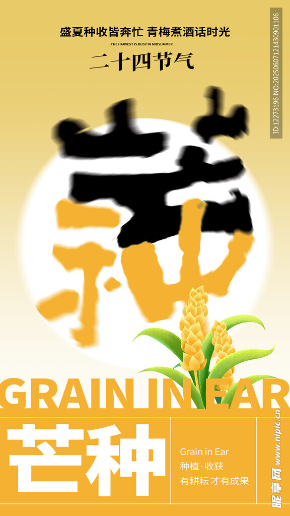 芒種時節農事插畫海報