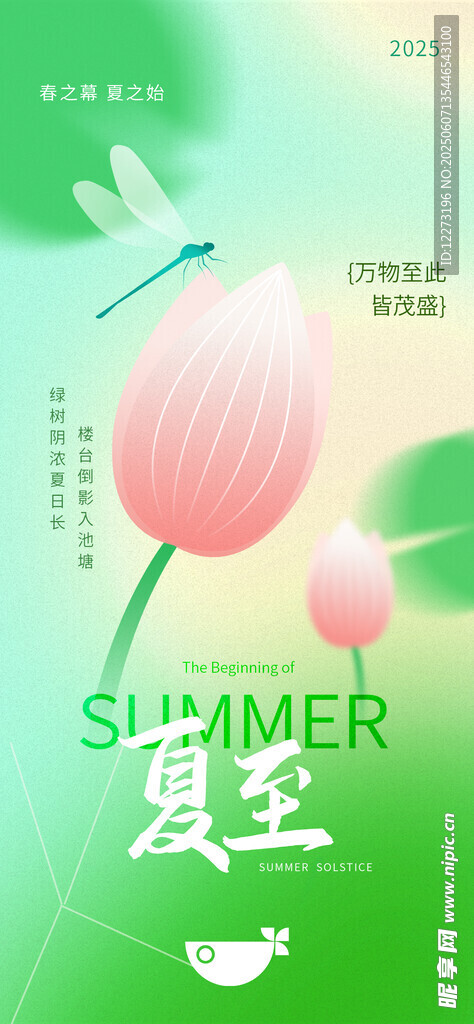 夏日夏至荷花清新插畫