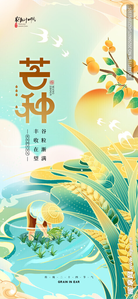 芒種海報(bào)