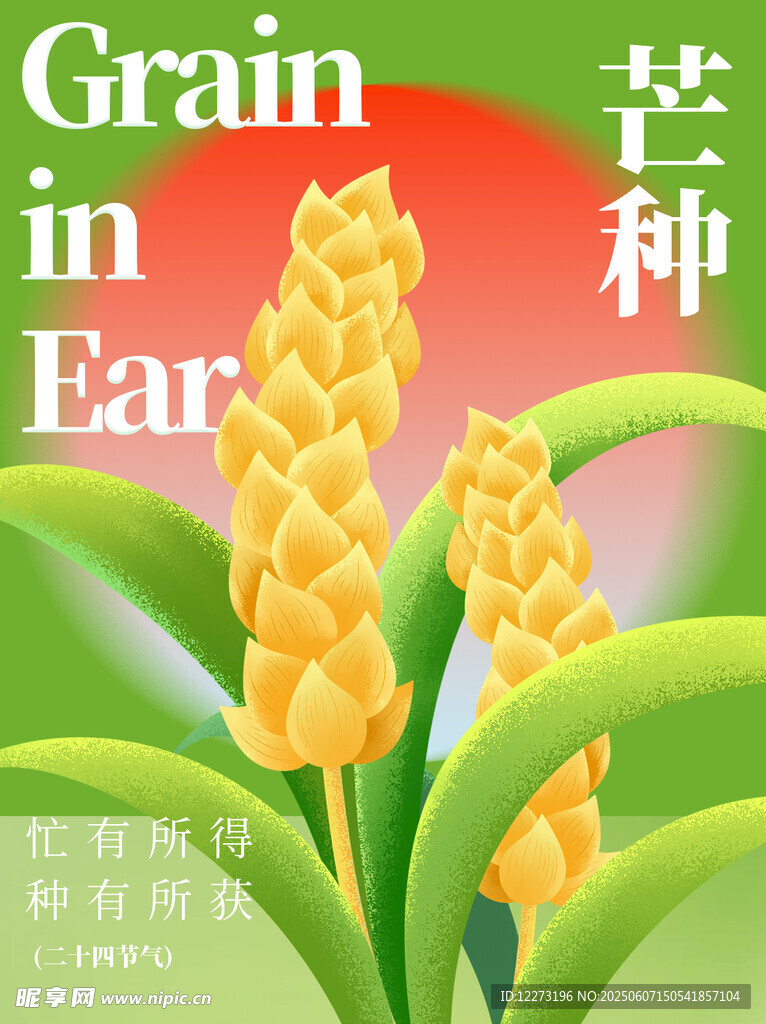 芒種海報