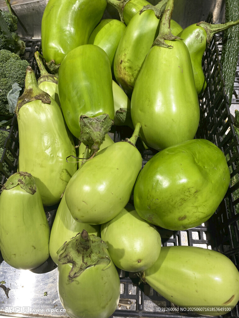 新鮮青皮茄子