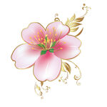 桃花  牡丹花開  設(shè)計(jì) 酒