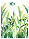 田野間的飛鳥與蓬勃植物