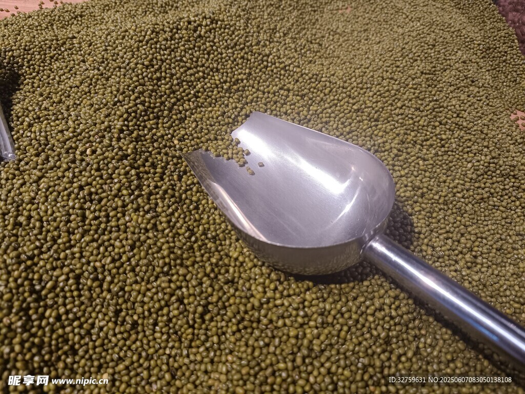 金屬鏟舀起綠色顆粒物料