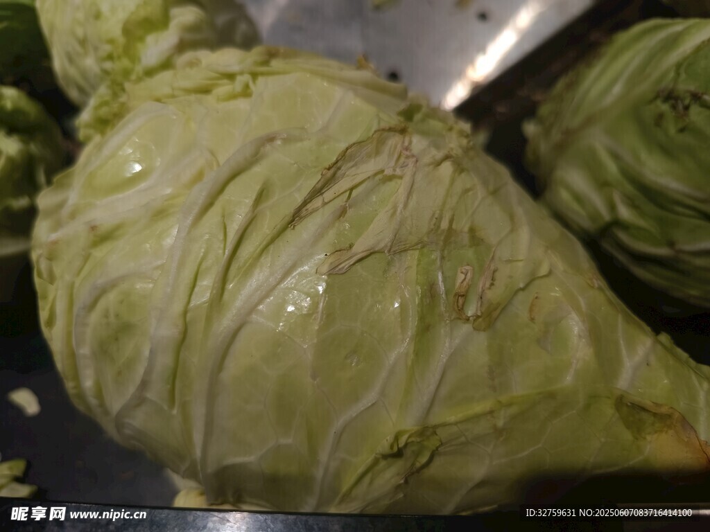圓白菜