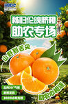 助農新鮮贛南臍橙