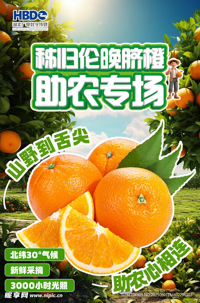 助農新鮮贛南臍橙