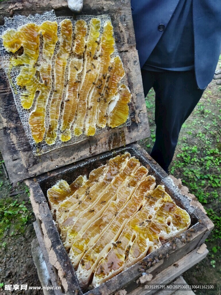 戶外蜂巢展示