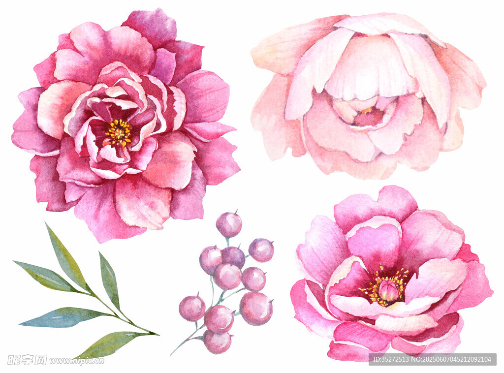 粉色花卉插畫素材