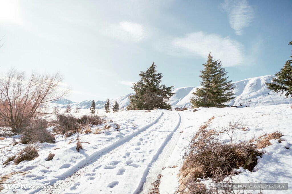 冬日雪中小徑風景