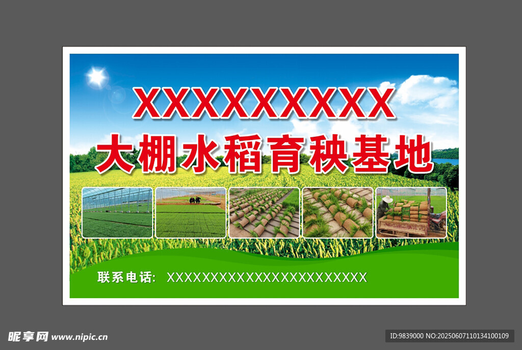 水稻育秧基地宣傳海報