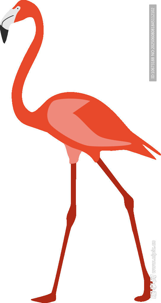 行走的粉紅色火烈鳥