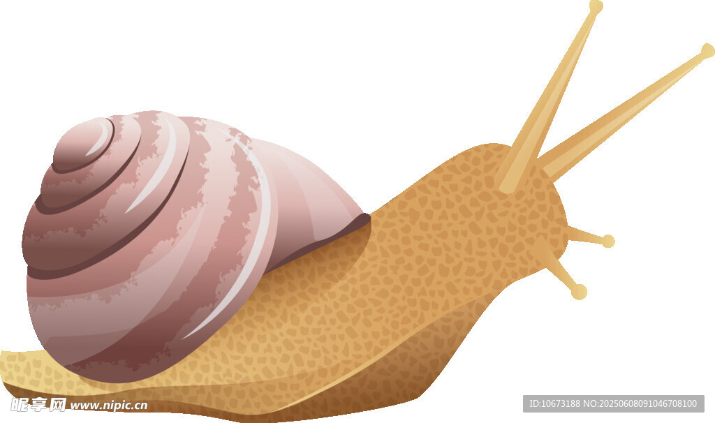 可愛蝸牛插畫