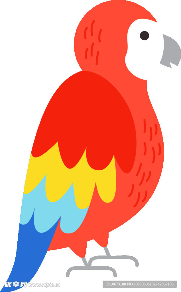 彩色鸚鵡插畫