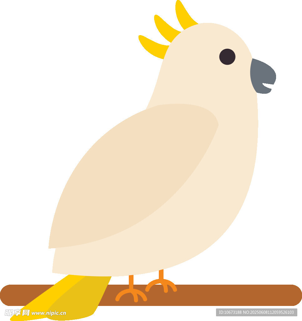 白色鳳頭鸚鵡棲息枝頭