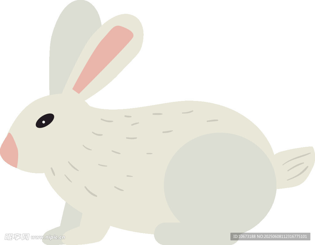 可愛白兔插畫
