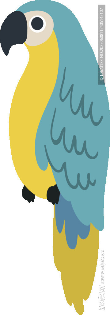 藍黃鸚鵡插畫