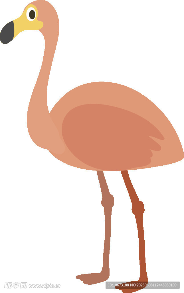 站立的粉色火烈鳥插畫