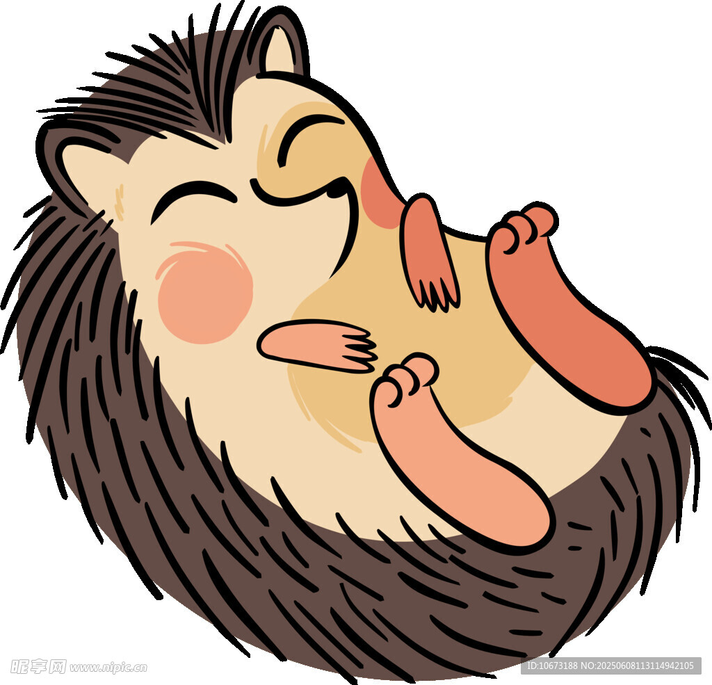 可愛刺猬愜意躺臥