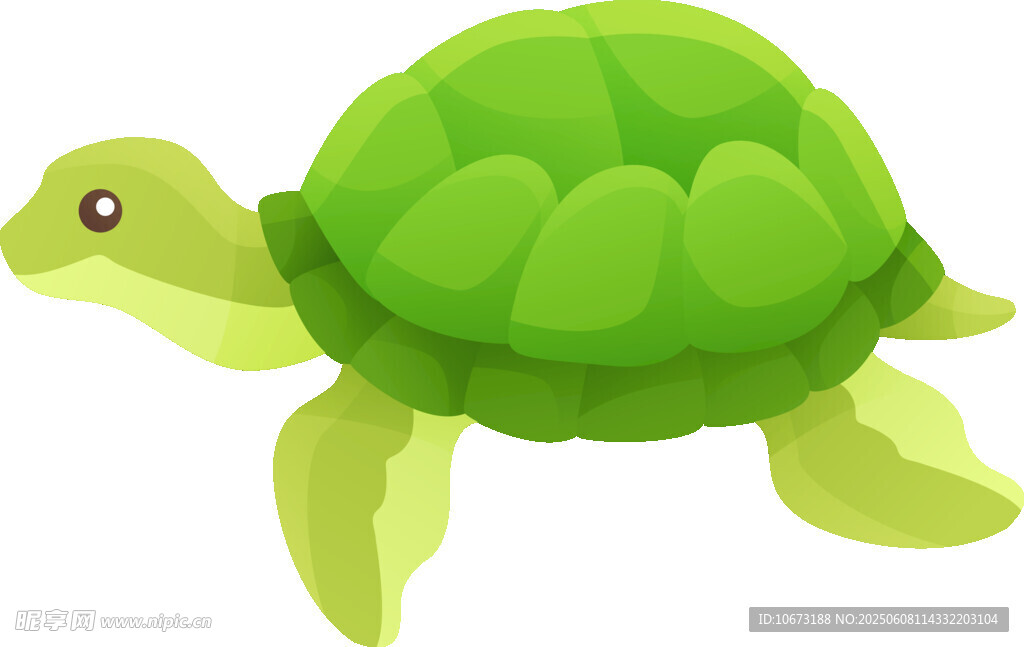 可愛綠色小烏龜插畫