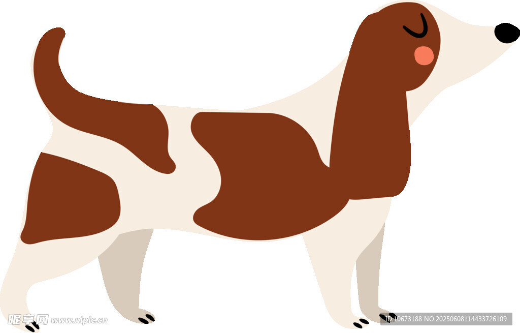 可愛短腿巴吉度獵犬插畫