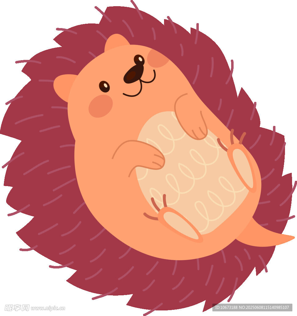 可愛小刺猬躺臥姿態(tài)圖