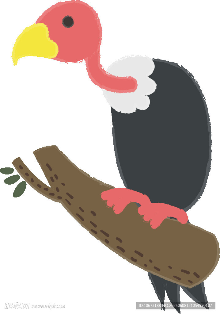 樹枝上的彩色禿鷲插畫