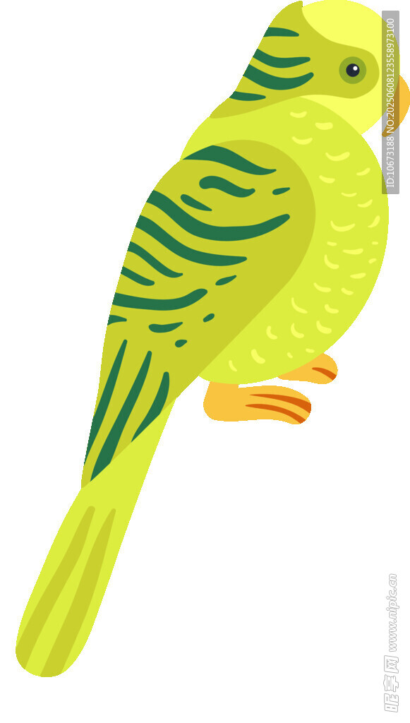 黃綠鸚鵡插畫