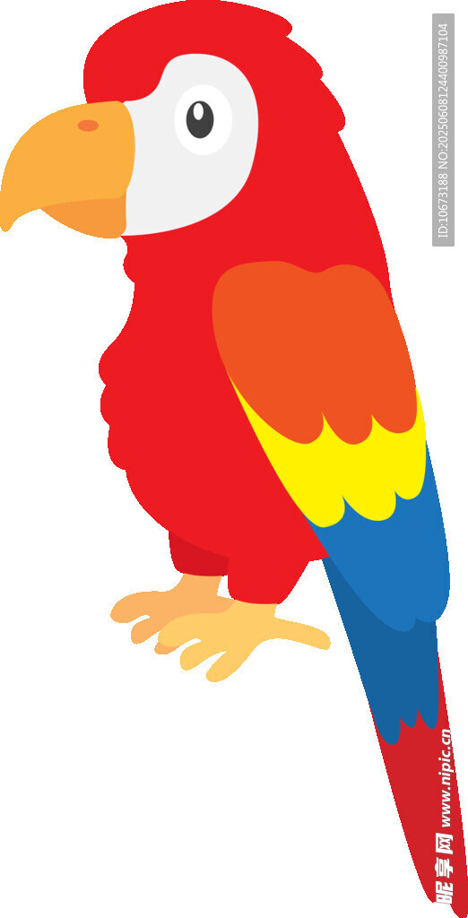 彩色鸚鵡插畫