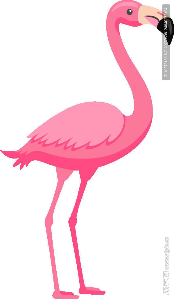 站立的粉色火烈鳥插畫