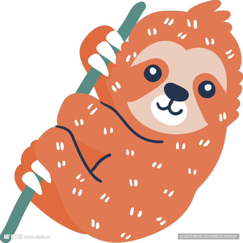 掛在樹枝上的可愛樹懶