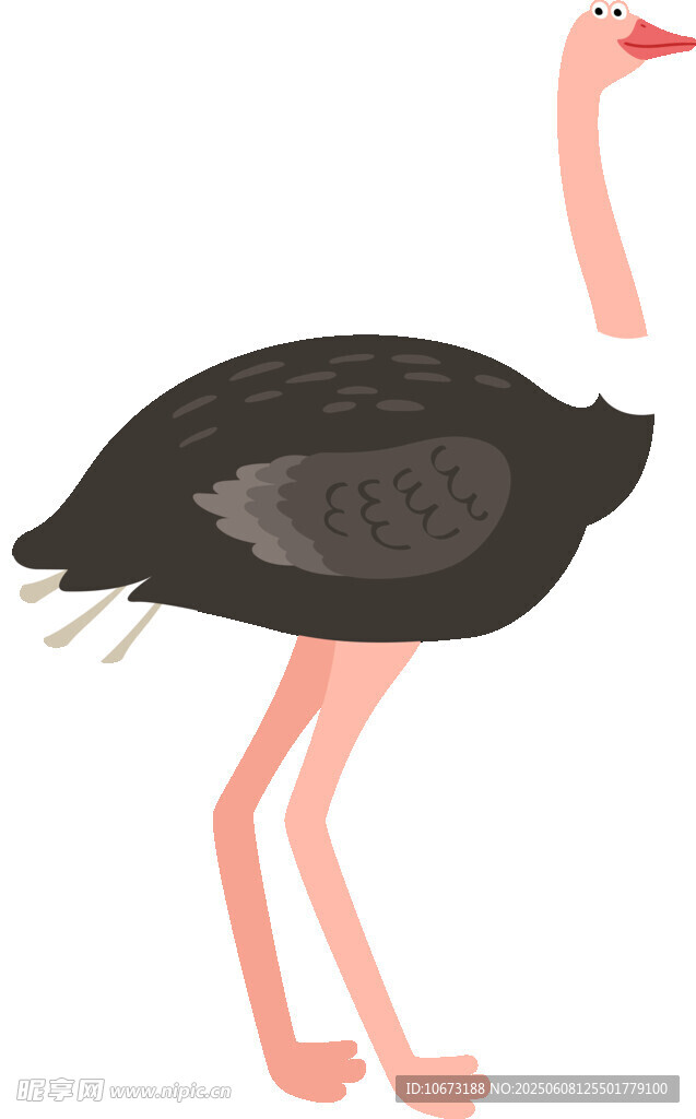 站立的鴕鳥