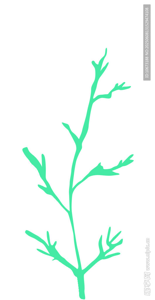 綠色植物枝條插畫