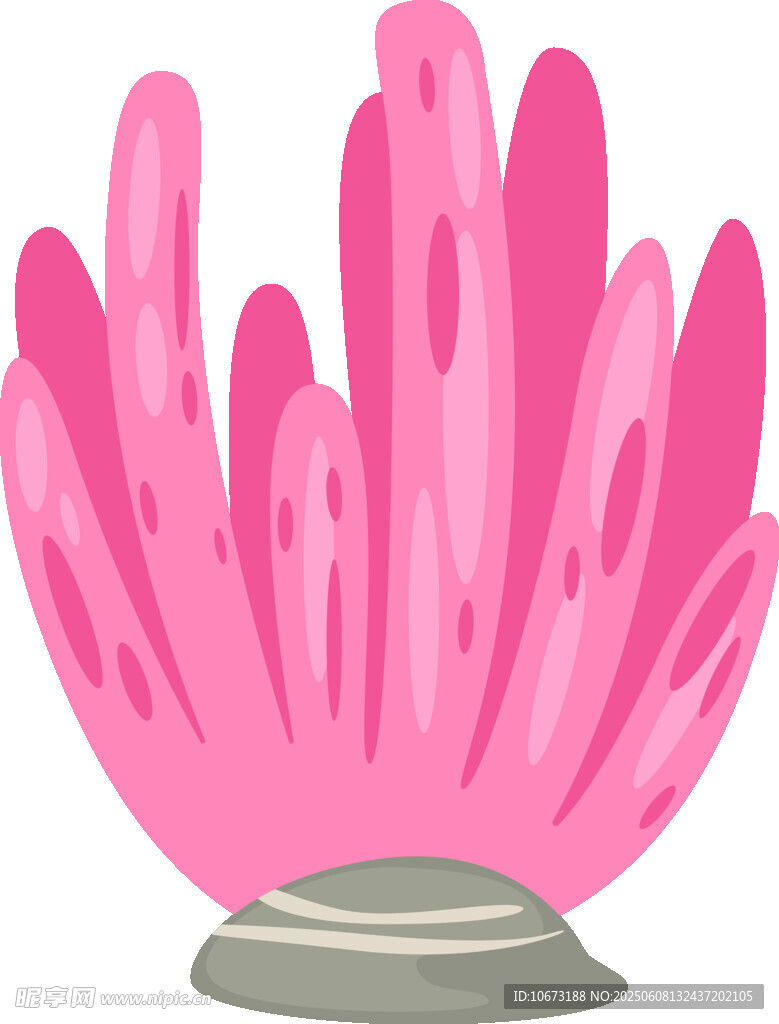 粉色珊瑚插畫