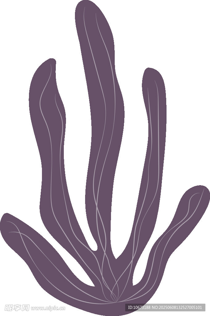 紫色海草插畫
