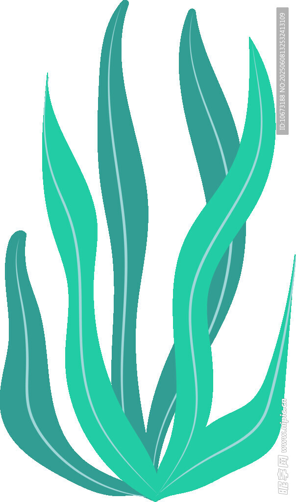 綠色水草插畫