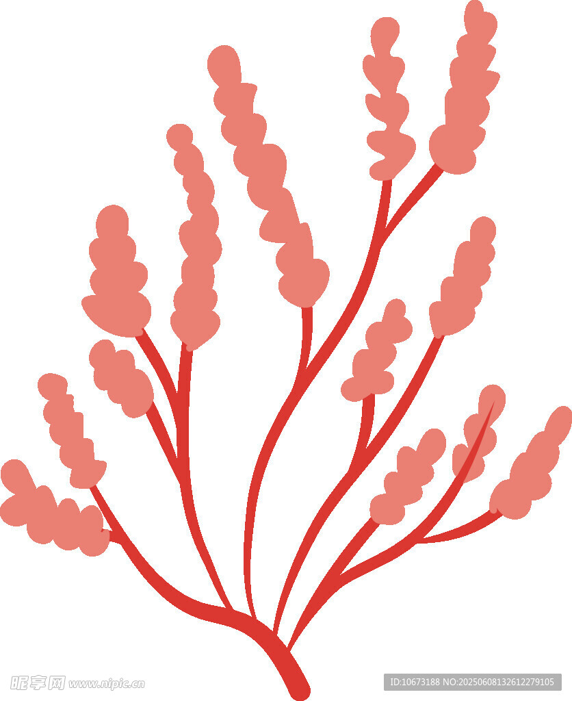 紅色珊瑚狀植物插畫