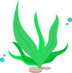 水中綠藻與石子的清新畫面