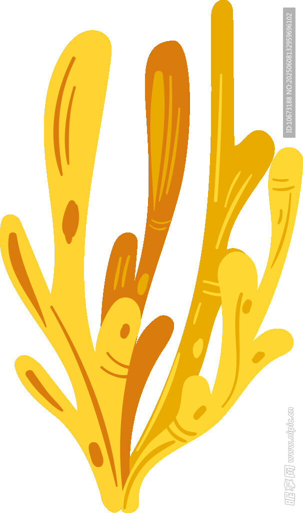 金色珊瑚插畫