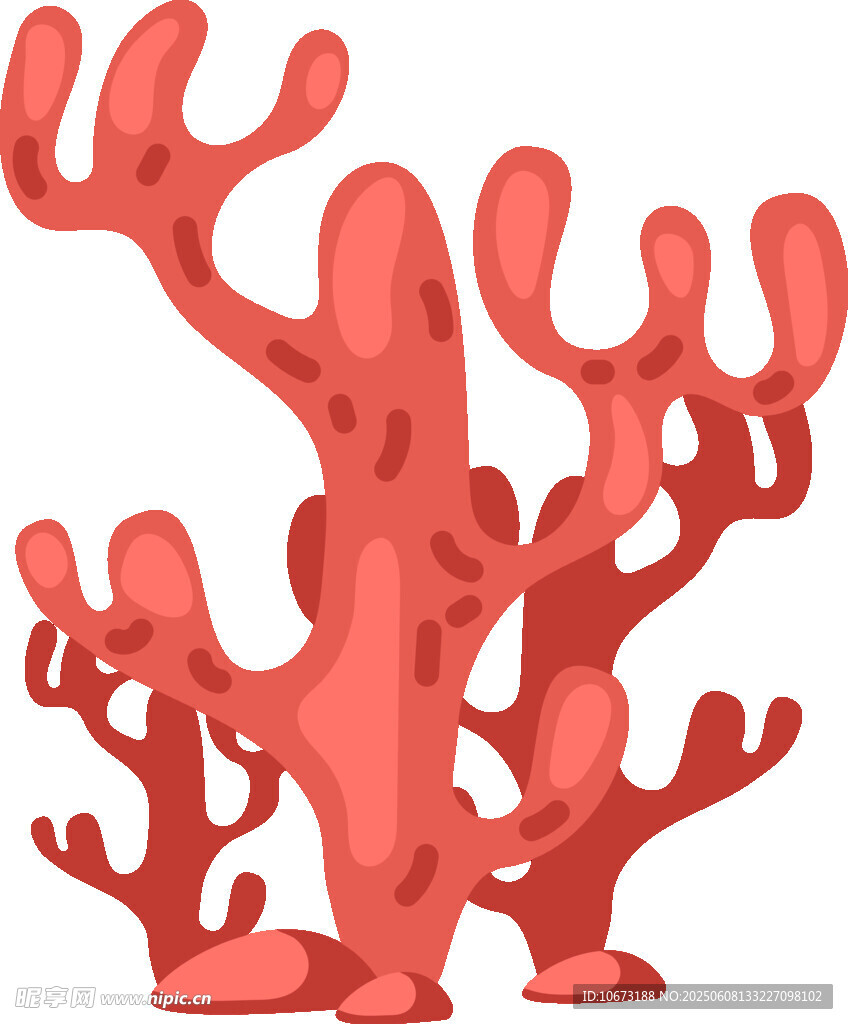 紅色珊瑚插畫